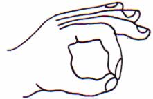 fingers